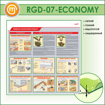     (RGD-07-ECONOMY)